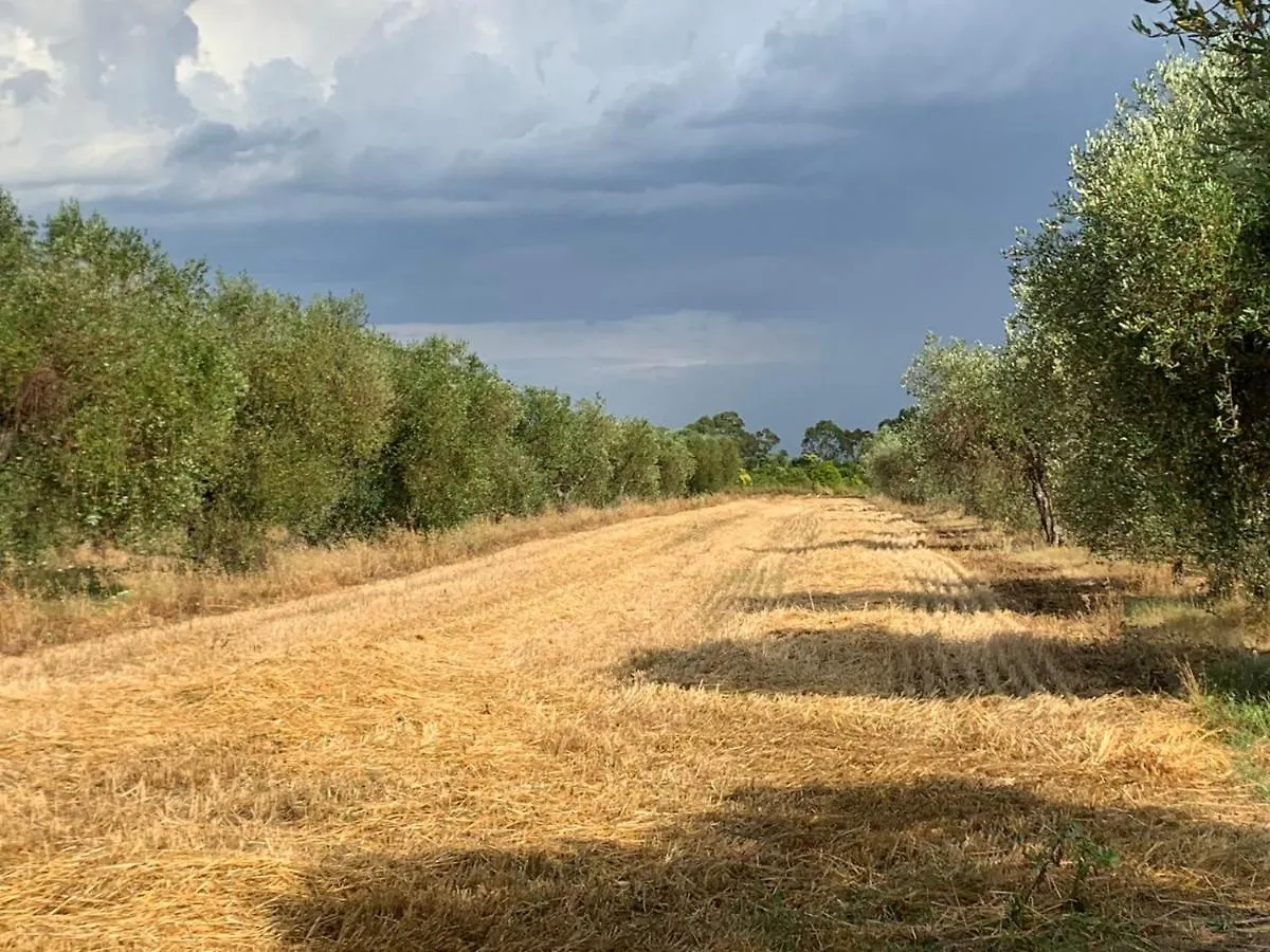 Agriturismo Beveraggio Appartamenti Marina di Grosseto 0*,  Italia